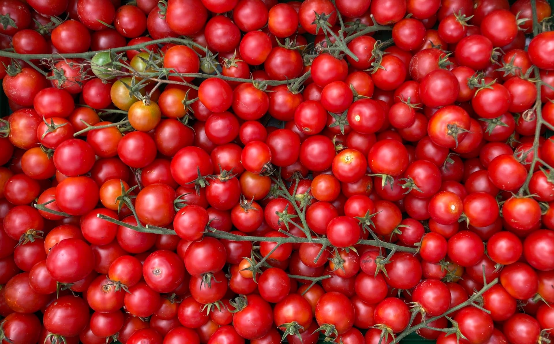 Red Hill Market Garden